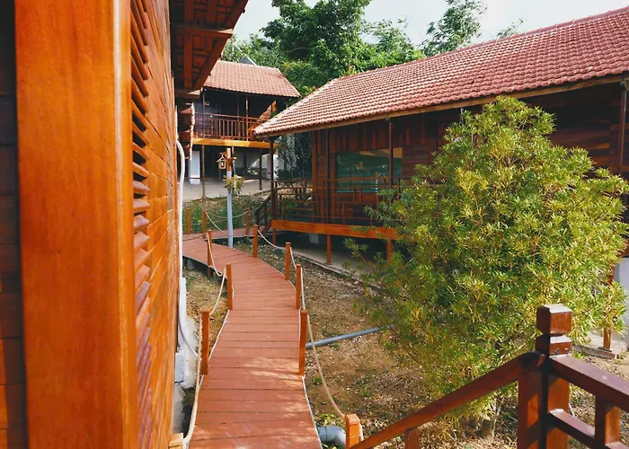 Co To Nature Hạ Long