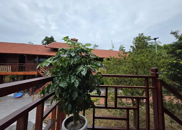 Co To Nature Hạ Long